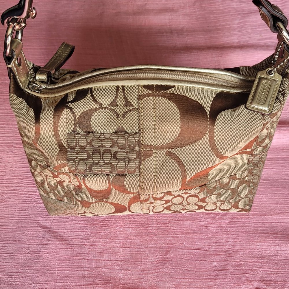 Small Coach Handbag